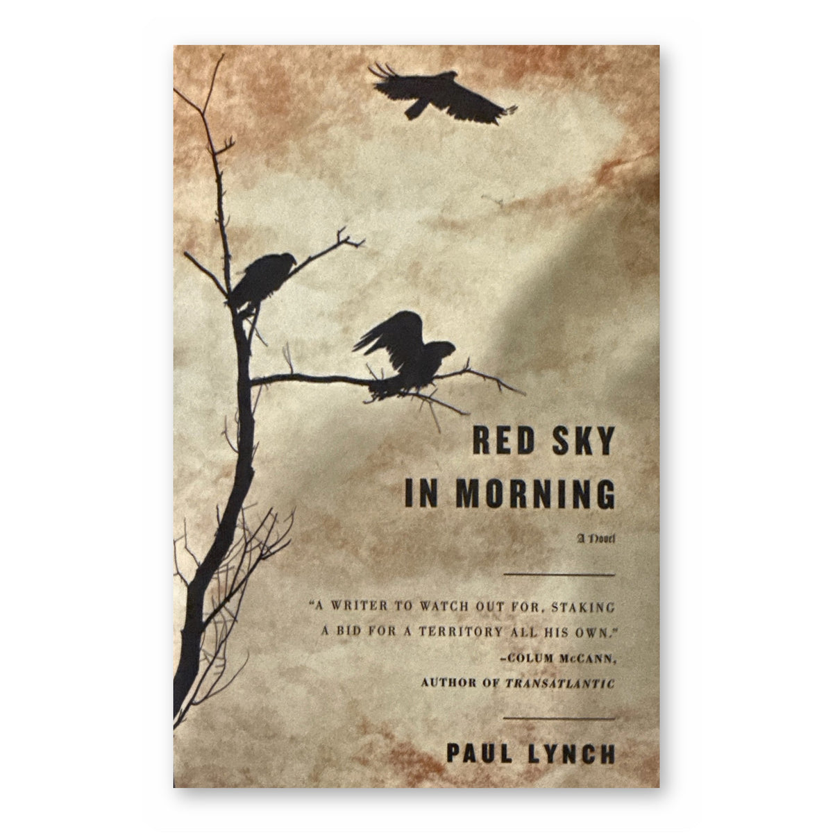 Red Sky in Morning by Paul Lynch (Little, Brown, Hardcover, First North American Edition, First Printing)